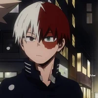 Shoto Todoroki