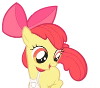 Apple bloom