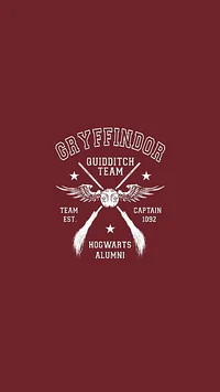Gryffindor team