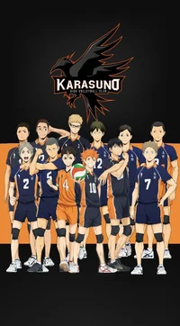 Karasuno high 