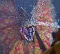 Dilophosaurus 