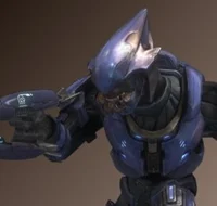 Sangheili Minor