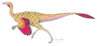 Orinithomimus