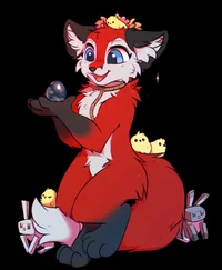 Vixy          Hyilpi