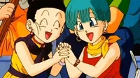 Bulma and Chi Chi