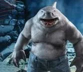 King shark