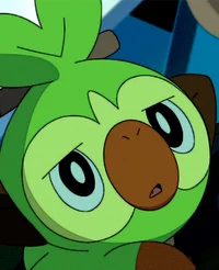 Lily the grookey 