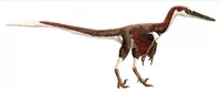 Austroraptor