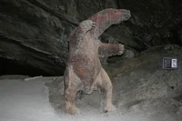 El milodon