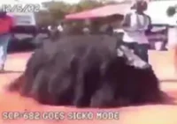 SCP-682 but on drugs