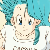 Bulma briefs