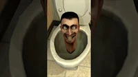 Skipidi toilet
