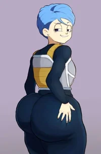 Bulma -Vegta suit-