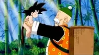 Grandpa Gohan 