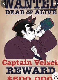 Captain Bob Velseb 