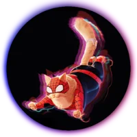 Spider-Cat