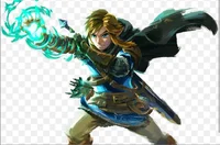 Wild Link