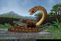 Titanoboa