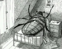 Gregor Samsa
