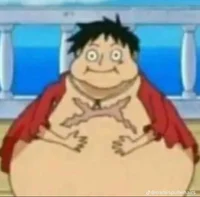 Fat luffy