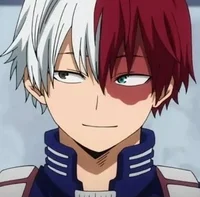 Shoto Todoroki