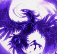 Void Phoenix