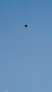 Littleblackstar_2002