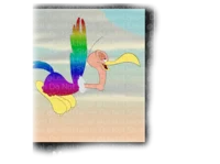 Rainbow beaky 