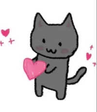 Boring unsilly kitty