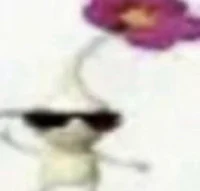 Cool ass pikmin