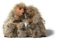 Family of  hedgehogs