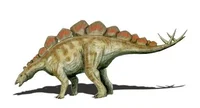 Hesperosaurus
