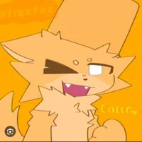 Catte