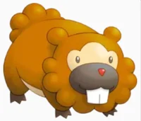 Bidoof - PMD