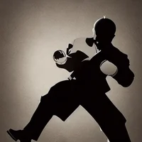 Shadow boxing simula