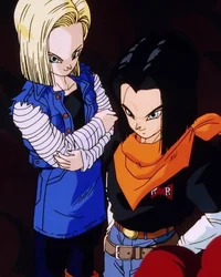 Android 17 and 18