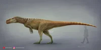 Wiehenvenator