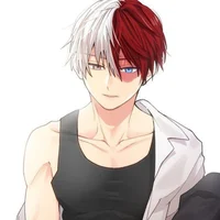 bully Todoroki