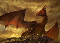 Dragon Reverse Harem