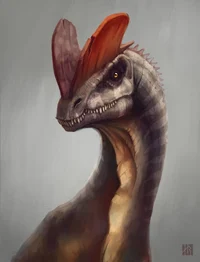 Female dilophosaurus