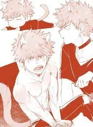 Cat Bakugou