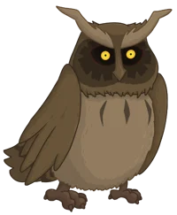 Owl 