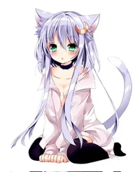 Neko owner