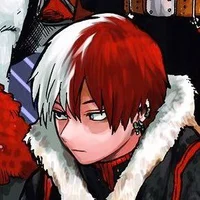 Shoto Todoroki