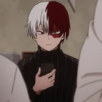 Shoto Todoroki 