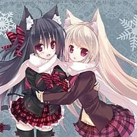 Your neko-sisters