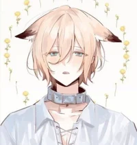 Fox servant Eichi