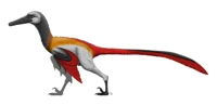 Neuquenraptor