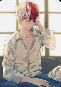 Shoto Todoroki BF