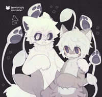 Squid Dog-TigerShark